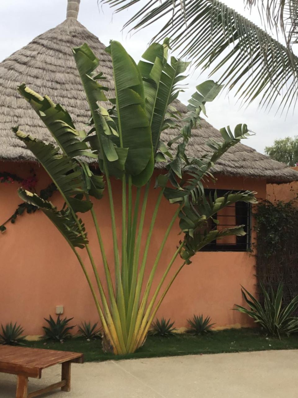 Terra Lodge Senegal Мбур Экстерьер фото