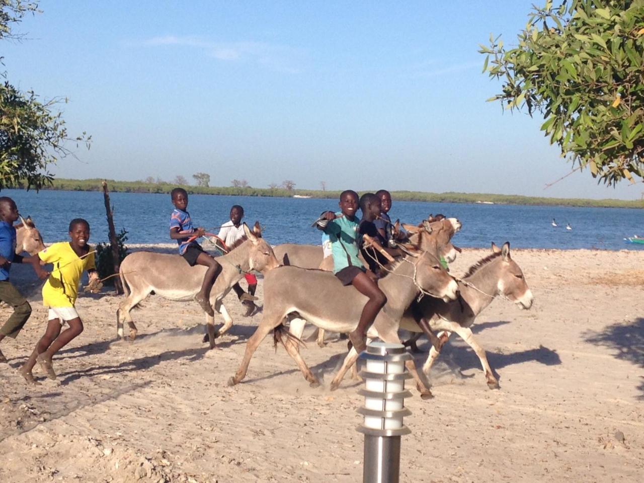 Terra Lodge Senegal Мбур Экстерьер фото