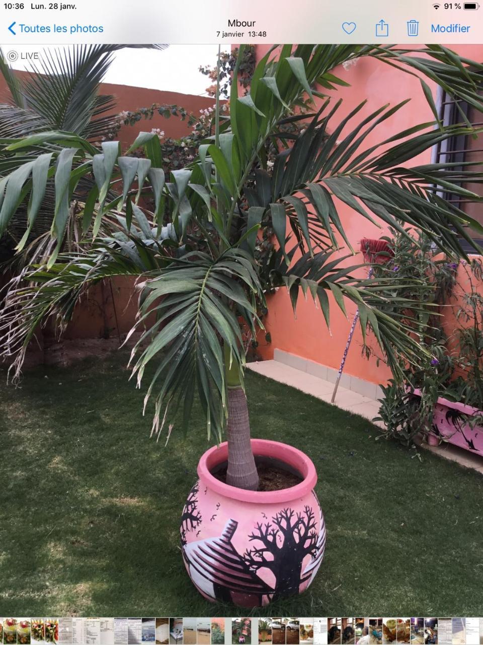 Terra Lodge Senegal Мбур Экстерьер фото